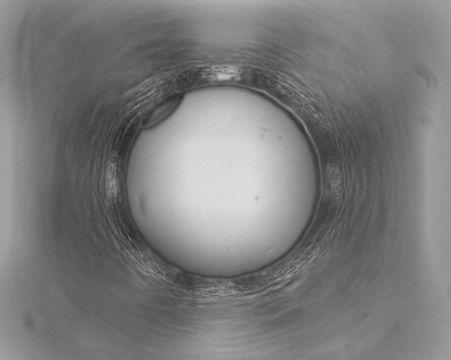 X0000116011442200912031520