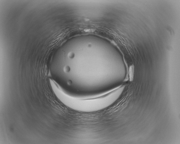 X0000116011443200912031520