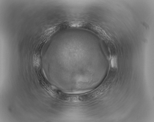 X0000116011444200912031520