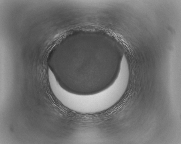 X0000116011445200912031520