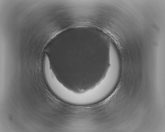 X0000116011449200912031520