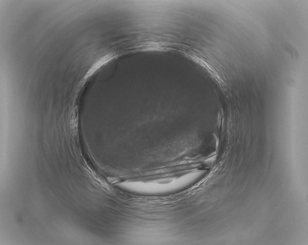 X0000116011450200912031520