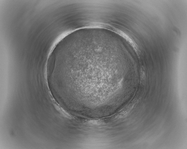 X0000116011480200912031519