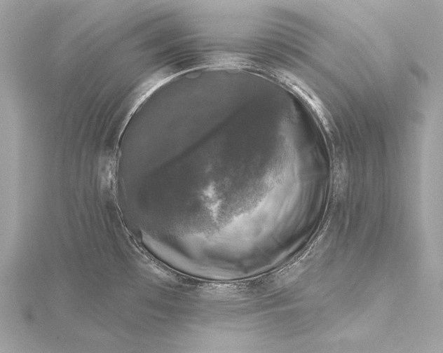 X0000116011481200912031519