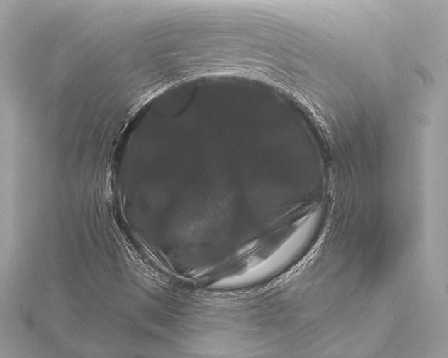 X0000116011497200912031519