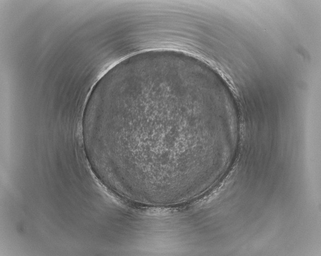 X0000116011521200912031519