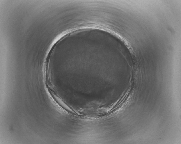 X0000116011522200912031519