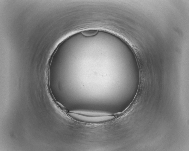 X0000116011526200912031519