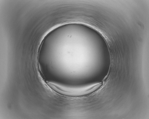 X0000116011534200912031519