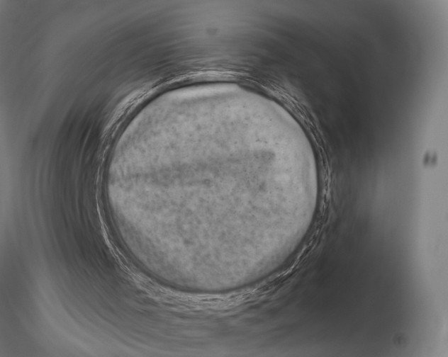 X0000116010001200912101352