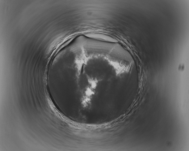 X0000116010002200912101352