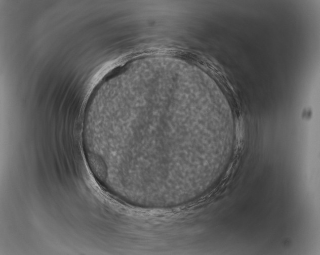 X0000116010003200912101352