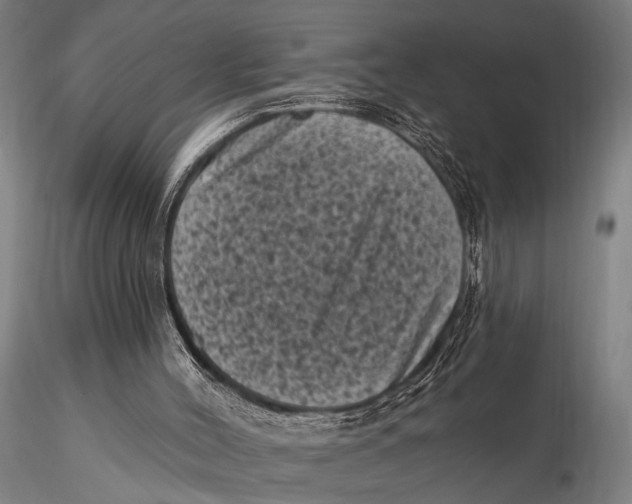 X0000116010004200912101352