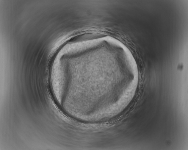 X0000116010005200912101352