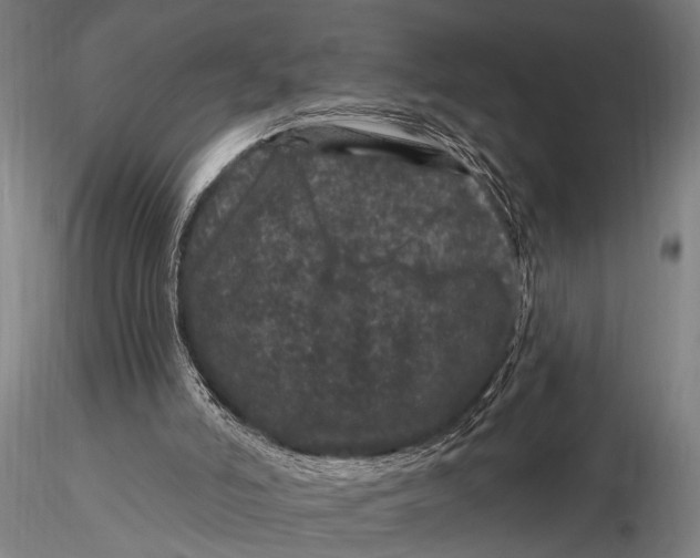 X0000116010006200912101352