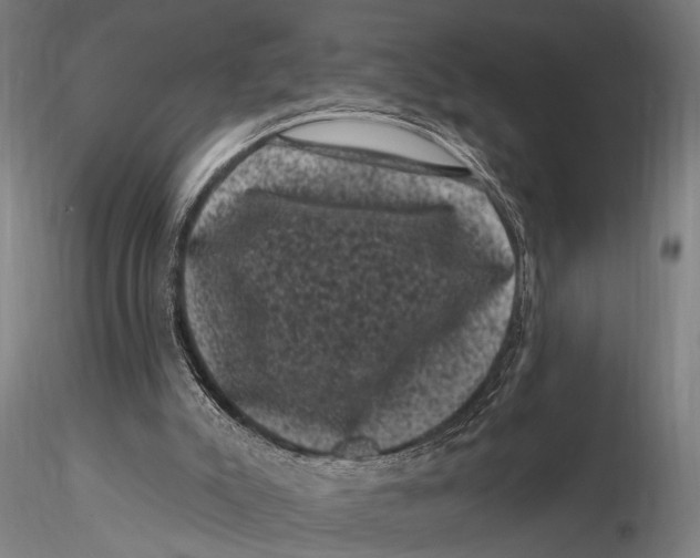 X0000116010007200912101352