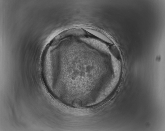 X0000116010008200912101352