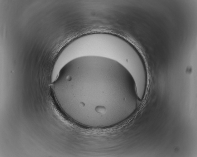 X0000116010009200912101352