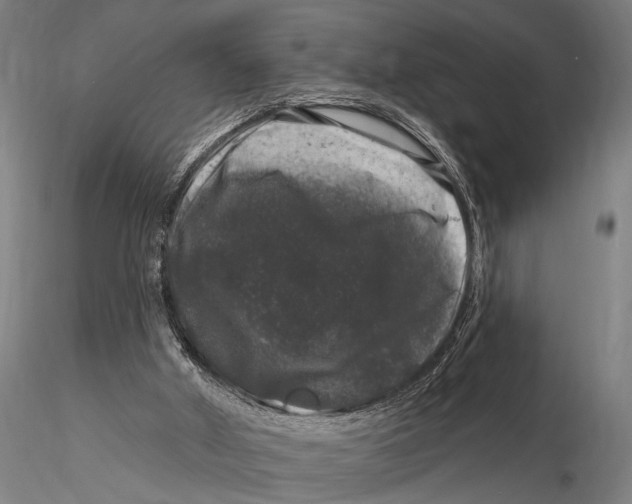 X0000116010010200912101352