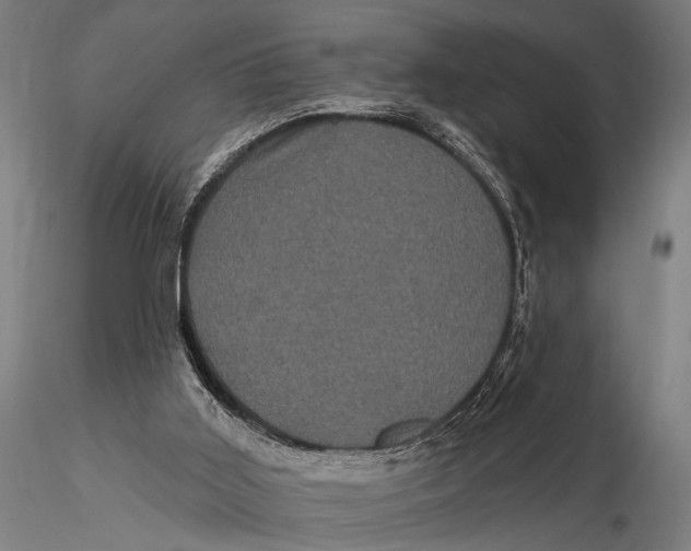 X0000116010011200912101352