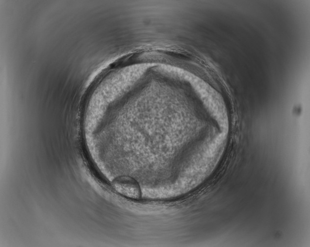 X0000116010012200912101352