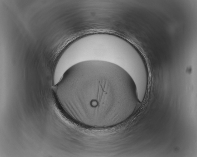 X0000116010013200912101352