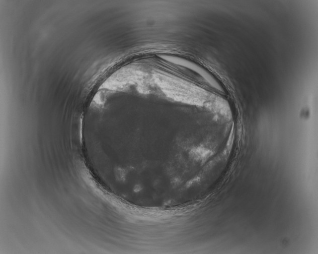 X0000116010014200912101352