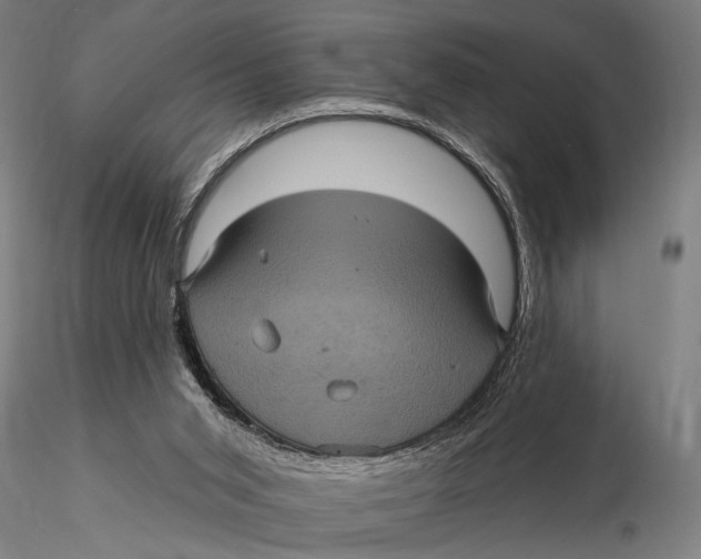 X0000116010015200912101352