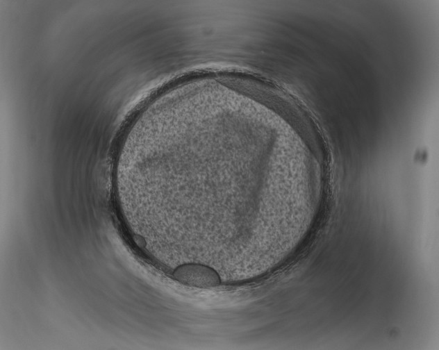 X0000116010016200912101352