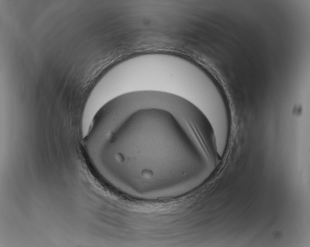 X0000116010017200912101352