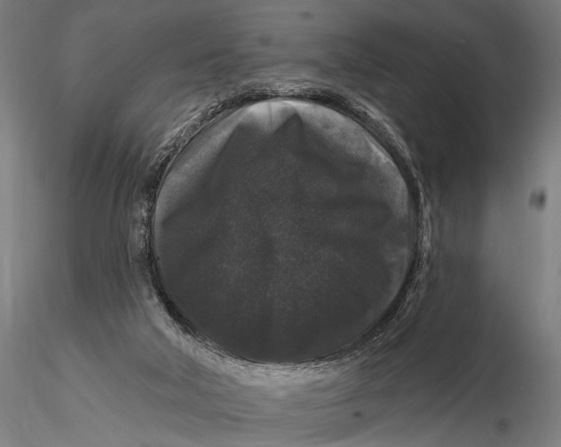 X0000116010018200912101352