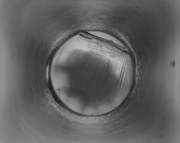 X0000116010019200912101352