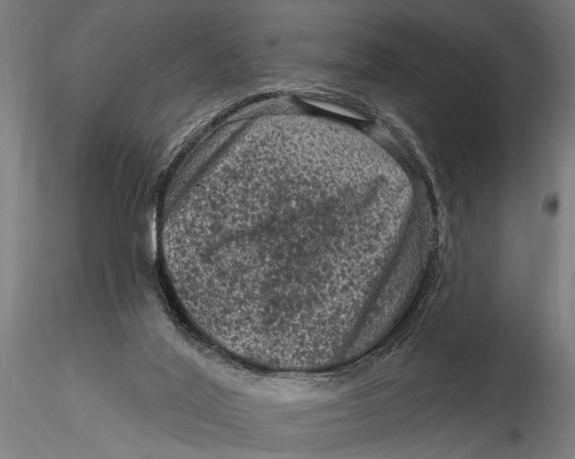 X0000116010020200912101352