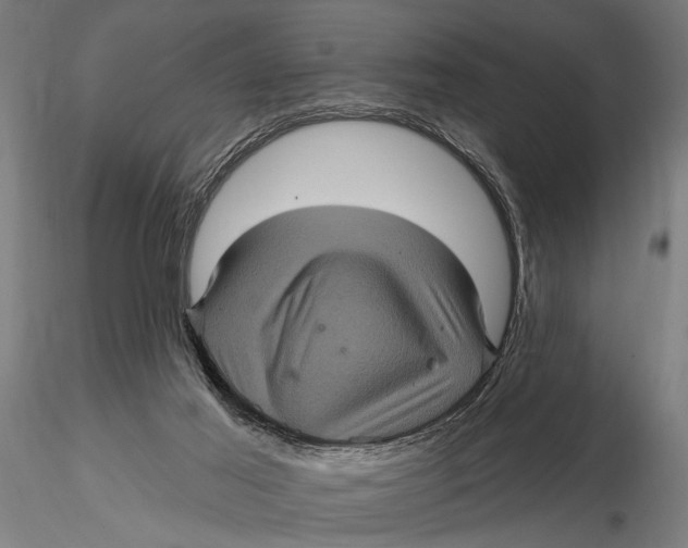 X0000116010021200912101352