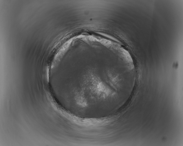 X0000116010022200912101352