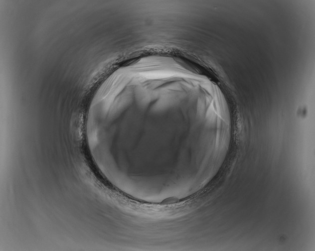 X0000116010023200912101352