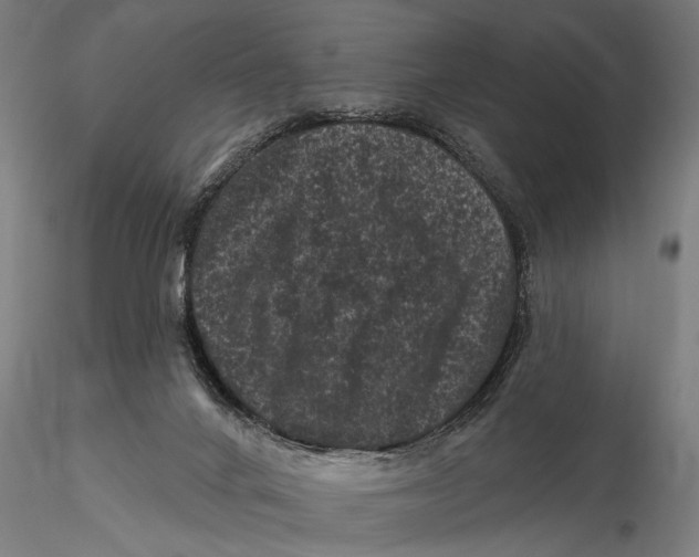 X0000116010024200912101352