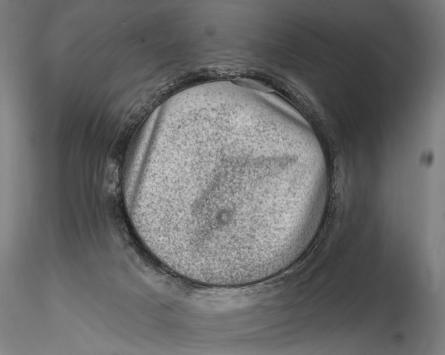 X0000116010025200912101352