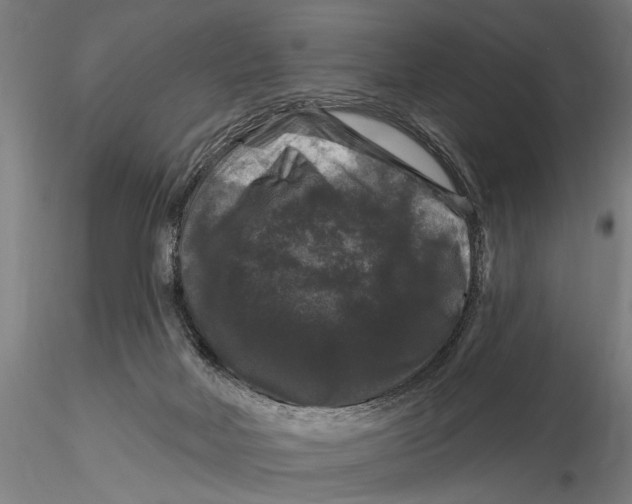 X0000116010026200912101352