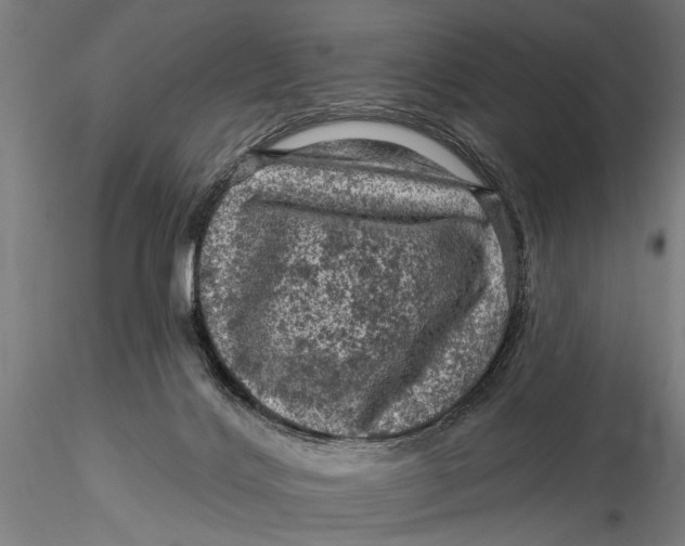 X0000116010028200912101352