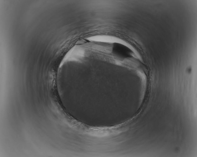 X0000116010029200912101352