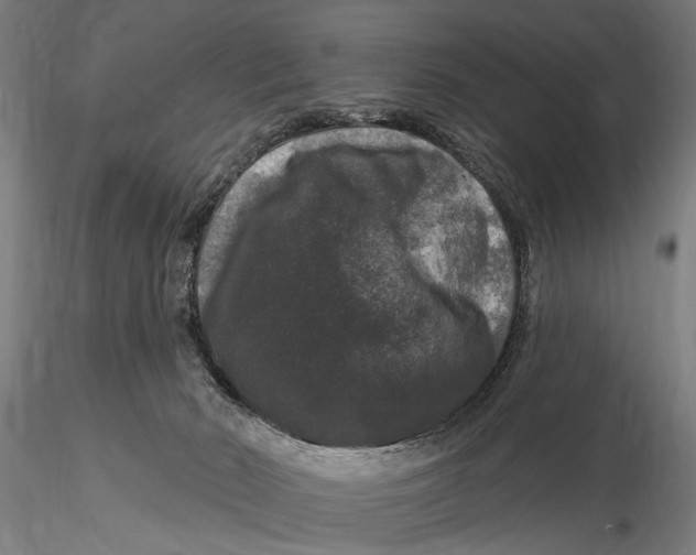 X0000116010030200912101352