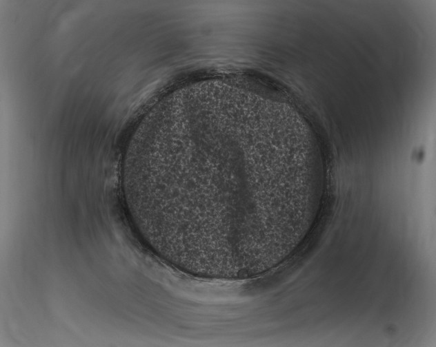 X0000116010032200912101352