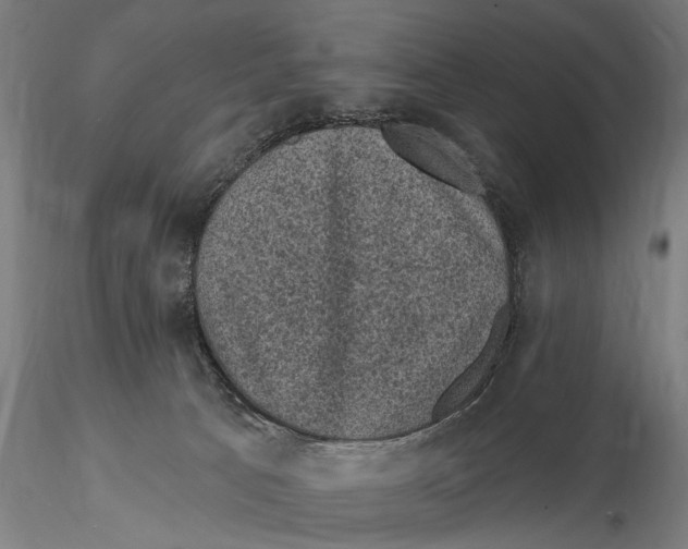 X0000116010033200912101352