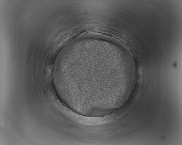 X0000116010034200912101352