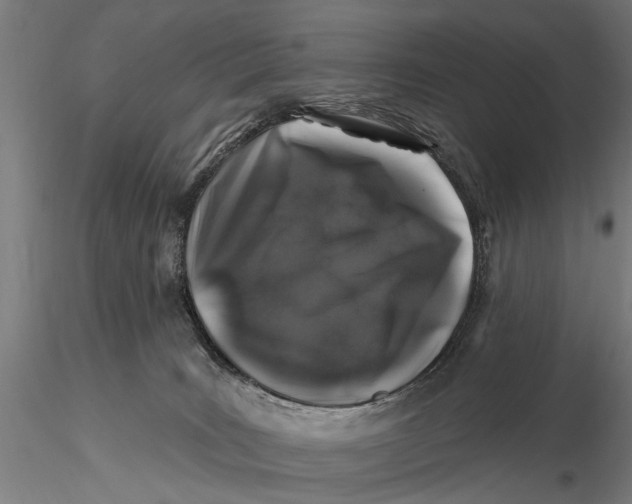 X0000116010035200912101352