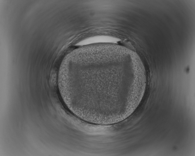 X0000116010036200912101352