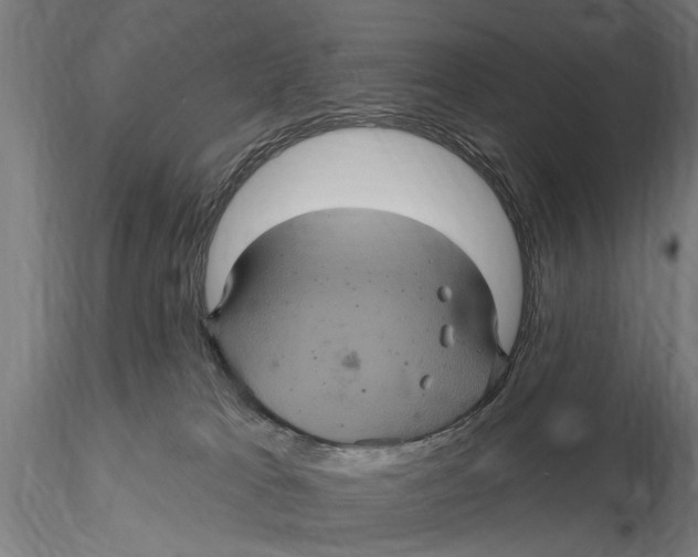 X0000116010037200912101352