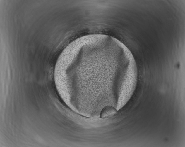 X0000116010038200912101352