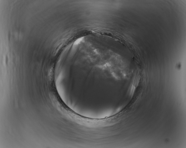 X0000116010039200912101352